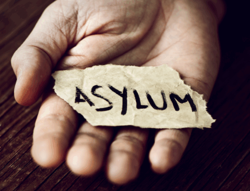 The Process of Seeking Asylum – What to Expect