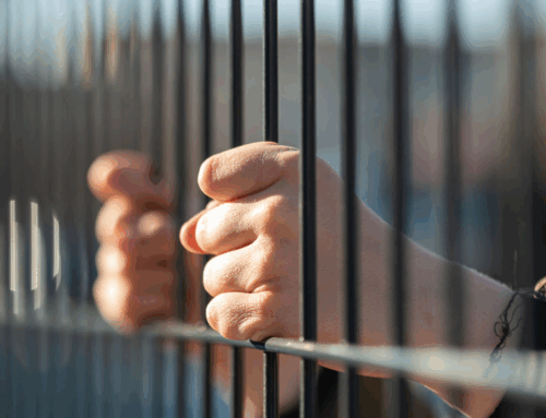 The ‘Refugee Process’ and What to Expect